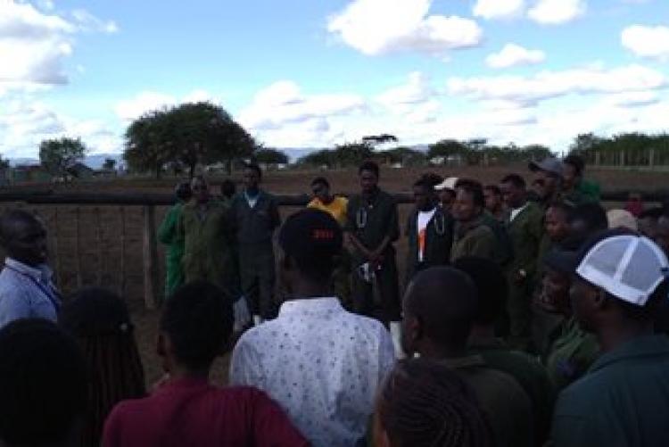 Dry-Land Herd Health Visit-BVM Students