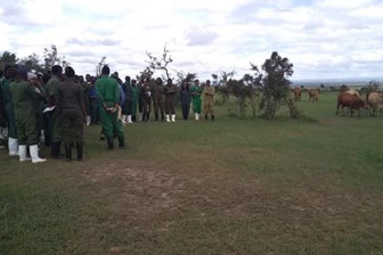 Dry-Land Herd Health Visit-BVM Students