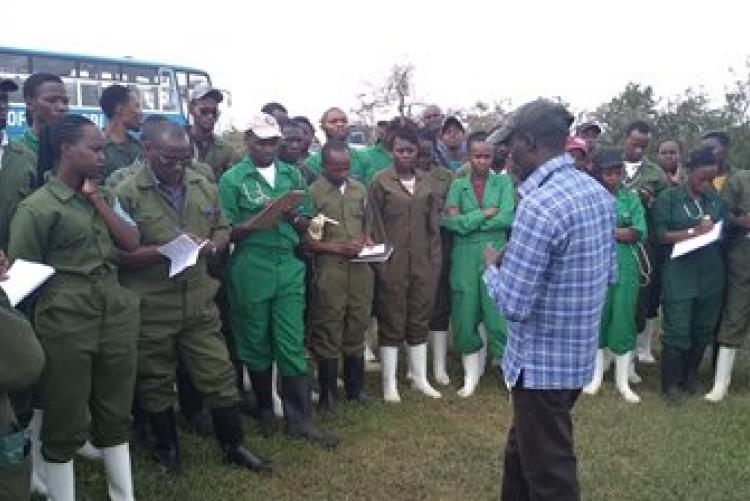 Dry-Land Herd Health Visit-BVM Students