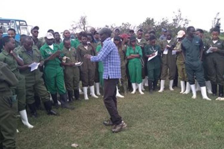 Dry-Land Herd Health Visit-BVM Students