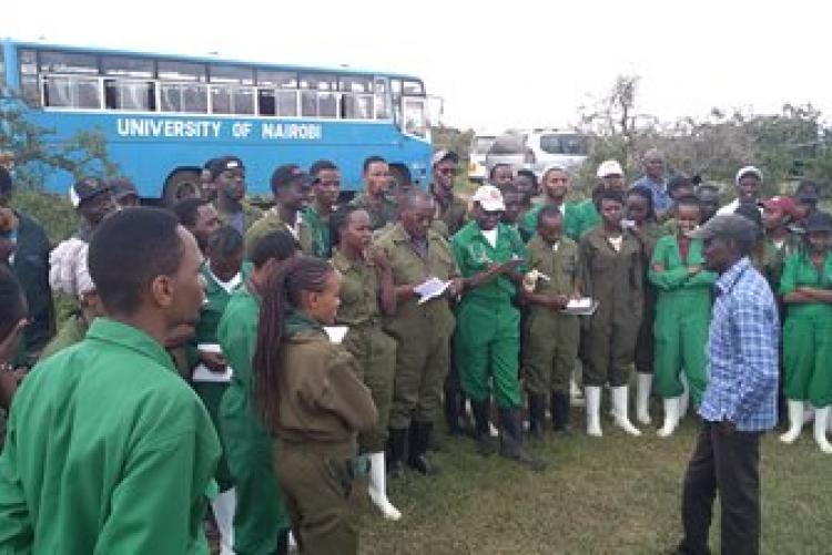 Dry-Land Herd Health Visit-BVM Students