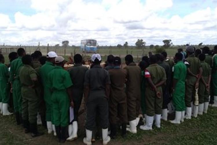 Dry-Land Herd Health Visit-BVM Students