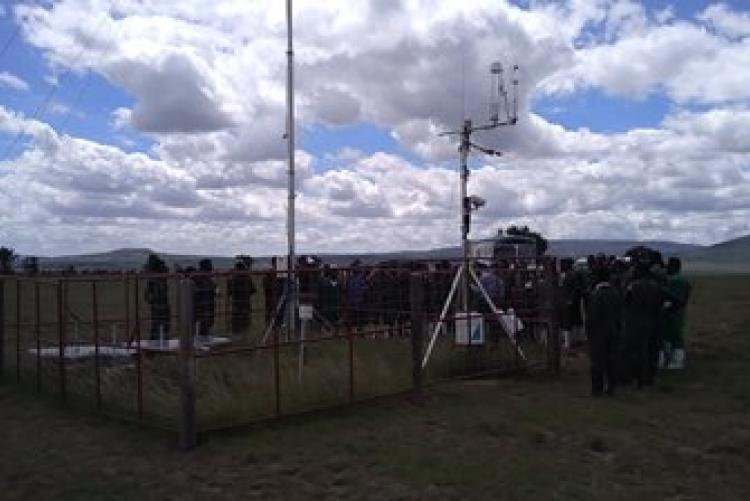 Dry-Land Herd Health Visit-BVM Students