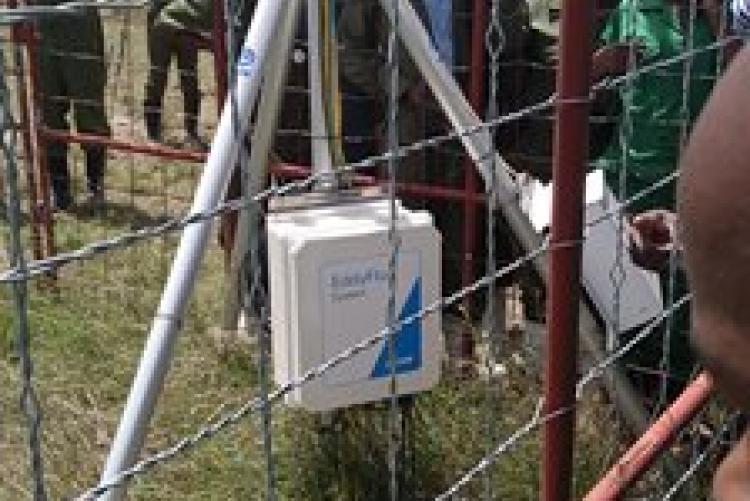 Dry-Land Herd Health Visit-BVM Students