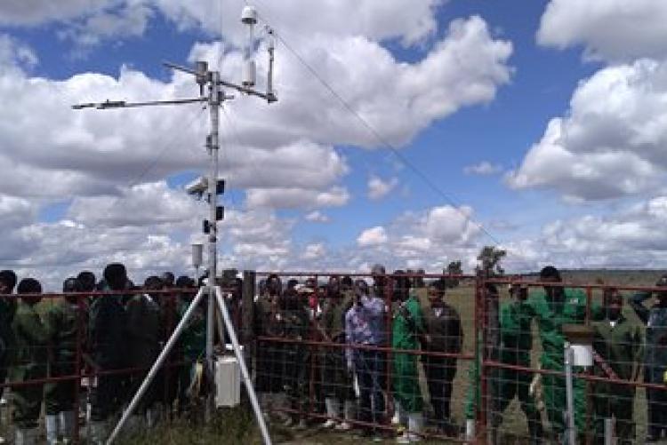 Dry-Land Herd Health Visit-BVM Students