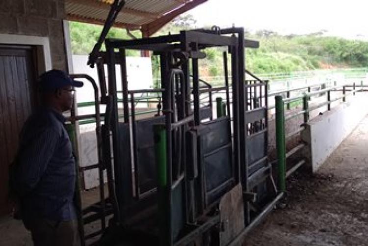 Dry-Land Herd Health Visit-BVM Students