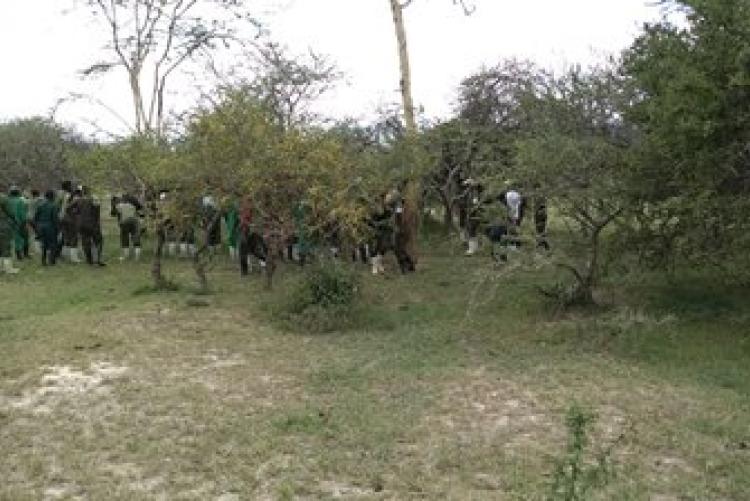 Dry-Land Herd Health Visit-BVM Students