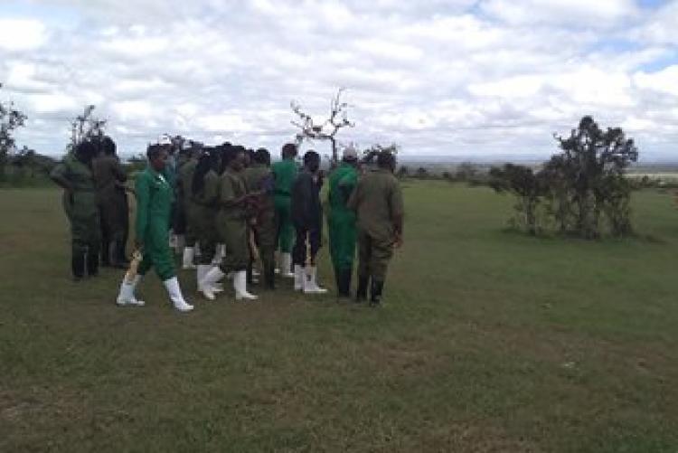 Dry-Land Herd Health Visit-BVM Students