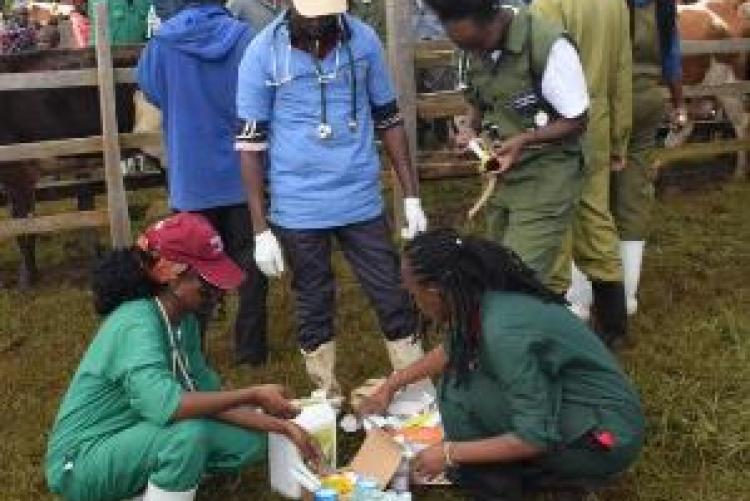 Herd Health Community Outreach - Uasin Gishu