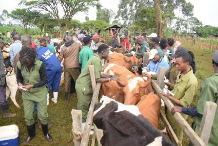 Herd Health Community Outreach - Uasin Gishu