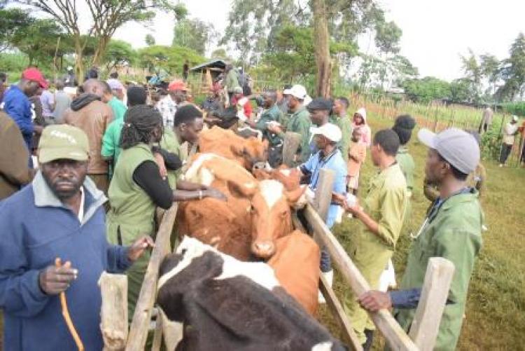 Herd Health Community Outreach - Uasin Gishu