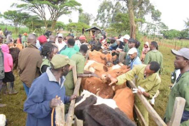 Herd Health Community Outreach - Uasin Gishu