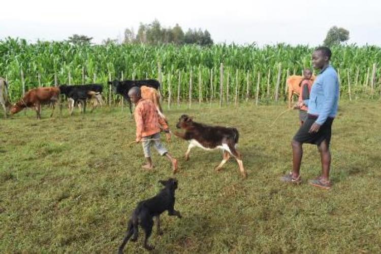 Herd Health Community Outreach - Uasin Gishu