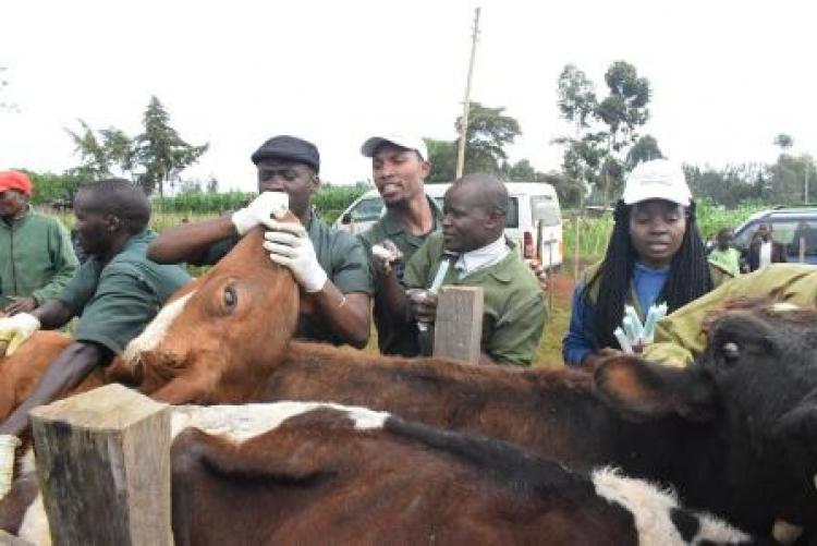 Herd Health Community Outreach - Uasin Gishu