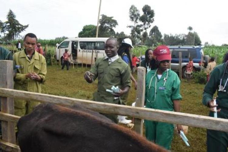 Herd Health Community Outreach - Uasin Gishu