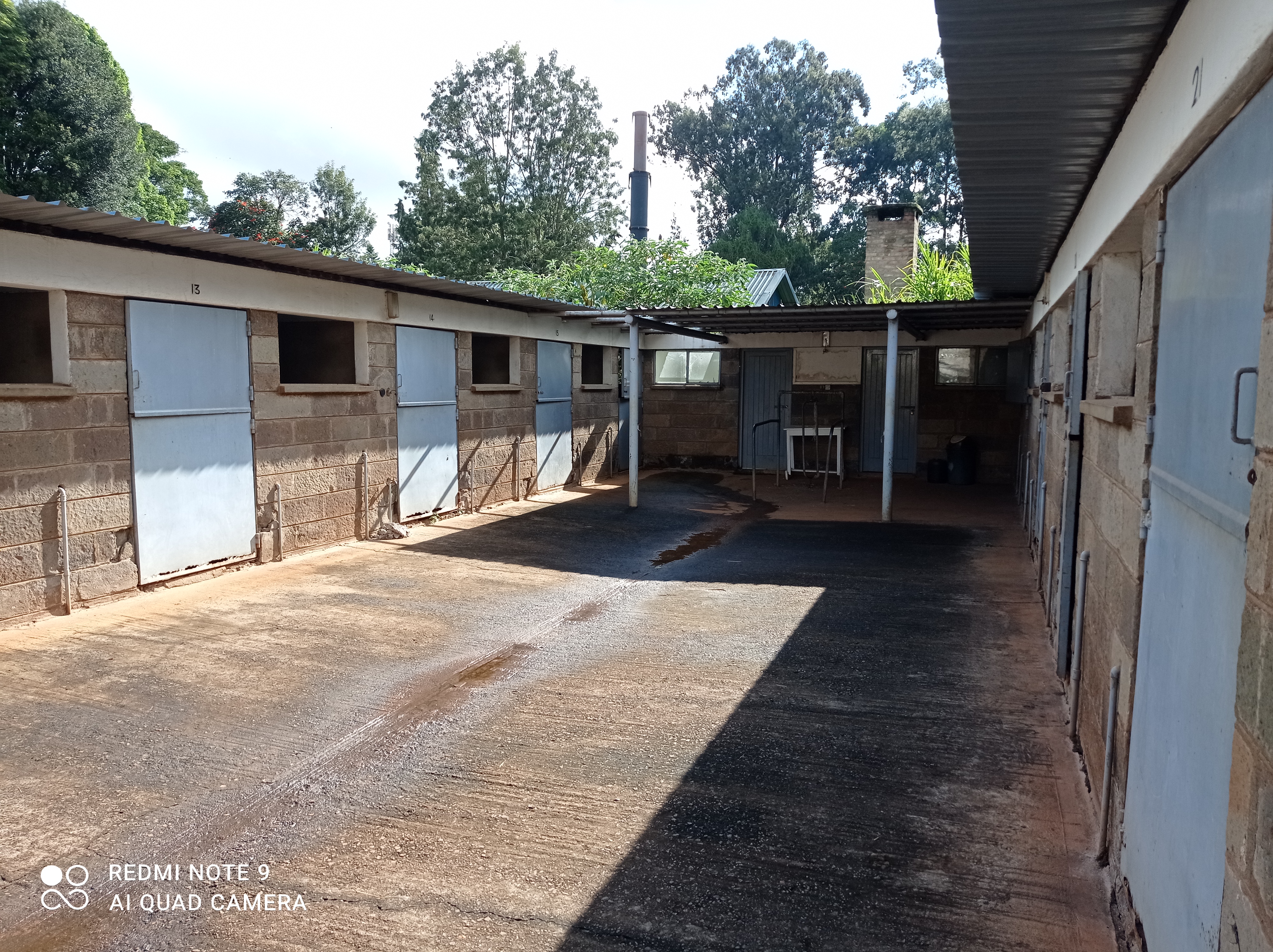 Large Animal Compound Stalls