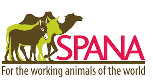Society for the Protection of Animals Abroad (SPANA)