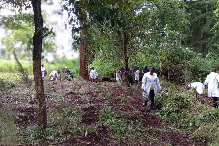 Members of the Department of Clinical Studies planted 1000 indigenous tree seedlings at the Vet Farm on the 7th of May 2025. This is in line with the efforts to conserve our sensitive environment.