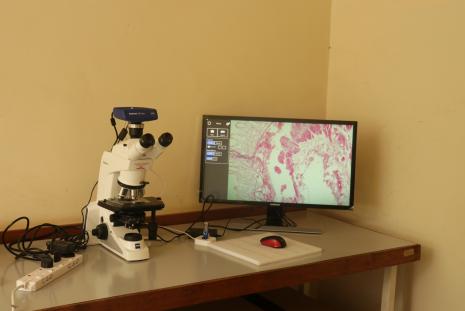 ZEISS Axiolab 5 Scientific Microscope