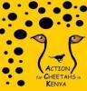Action for Cheetahs in Kenya
